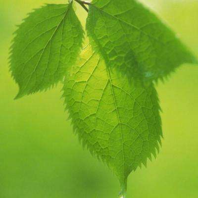 4688美高梅登录中心